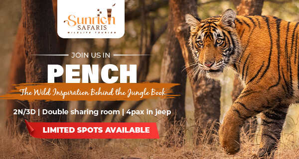 PENCH NATIONAL PARK