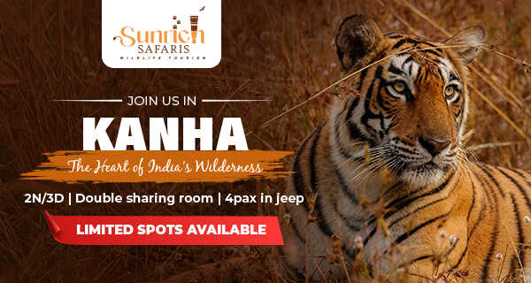 KANHA NATIONAL PARK